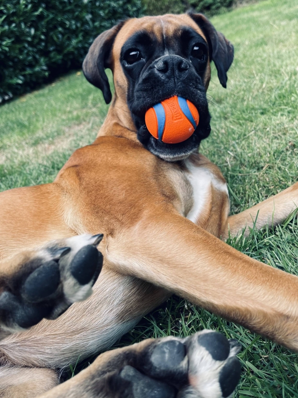 ball1-min