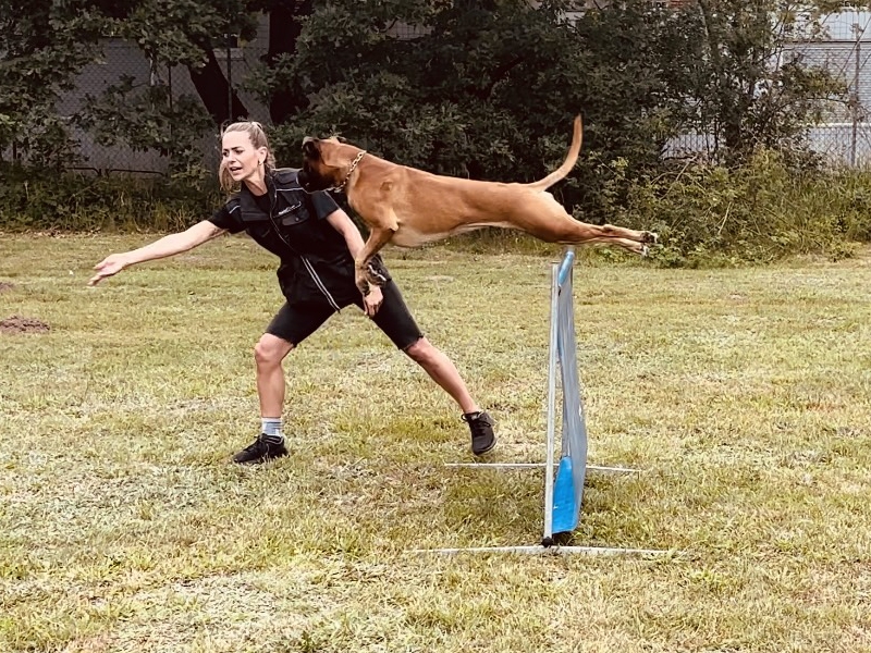 training.
